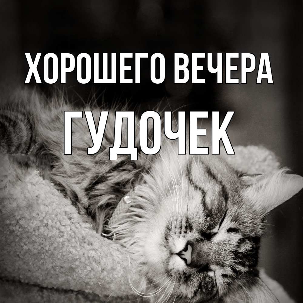 Открытка  для любимых и родных. гудочек, Хорошего вечера  