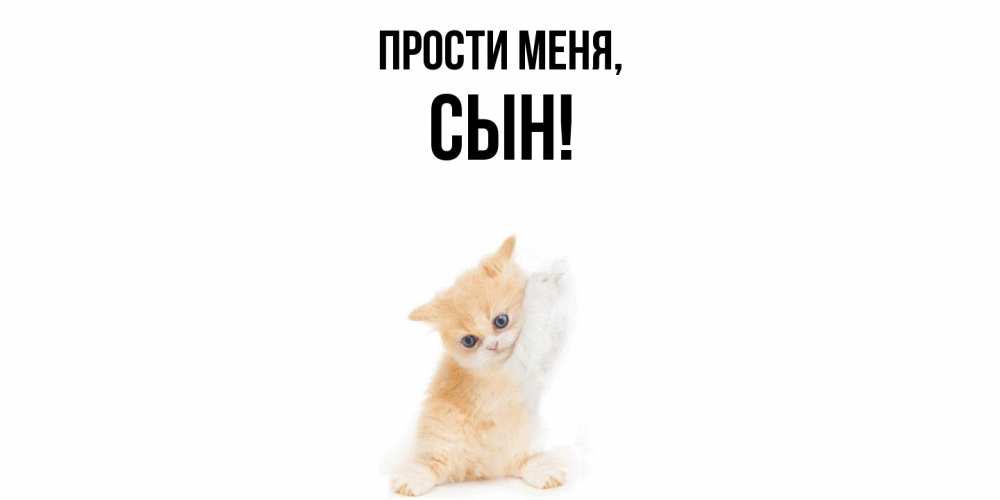 Прости Я Больше Так Не Буду Картинки