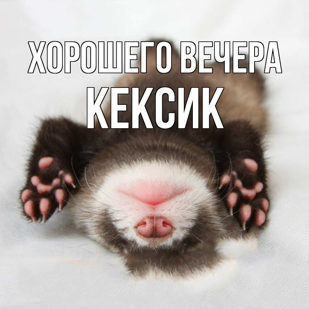 Открытка  для любимых и родных. кексик, Хорошего вечера  