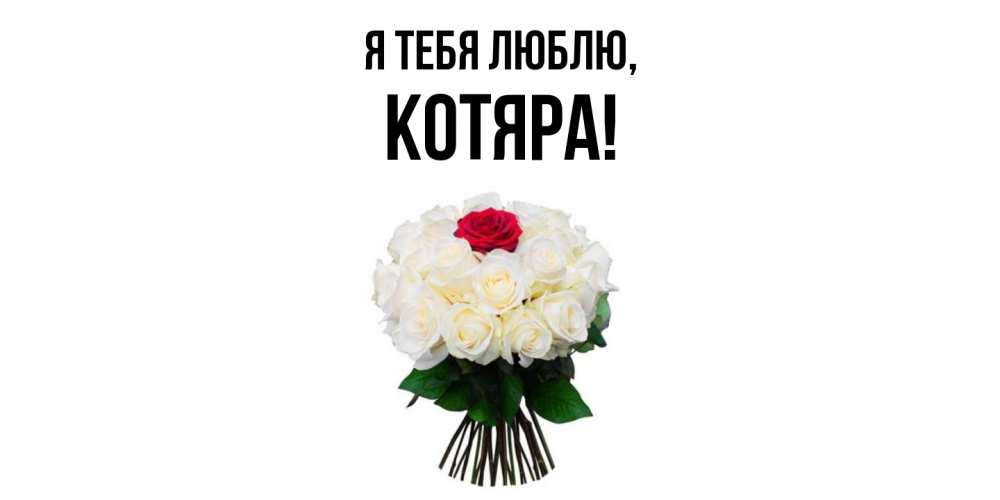 Открытка  для любимых и родных. котяра, Я тебя люблю  