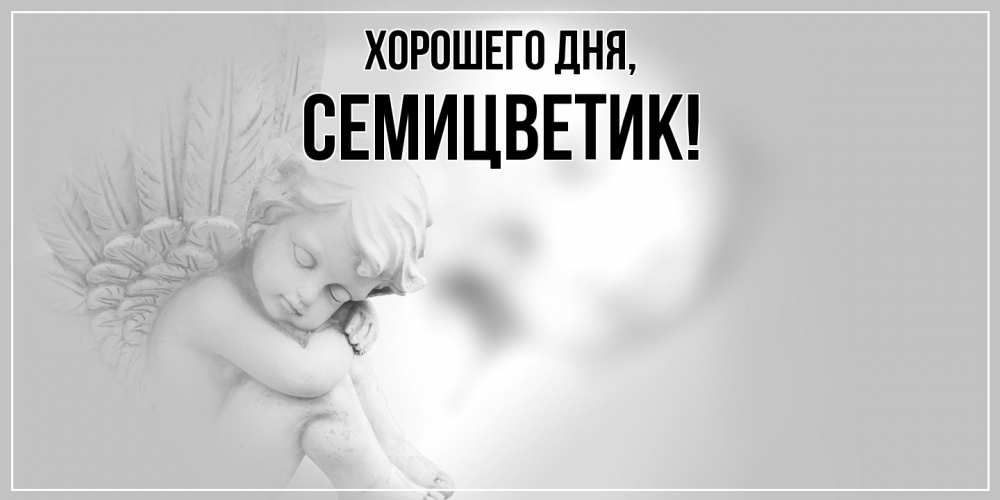 Открытка  для любимых и родных. семицветик, Хорошего дня  