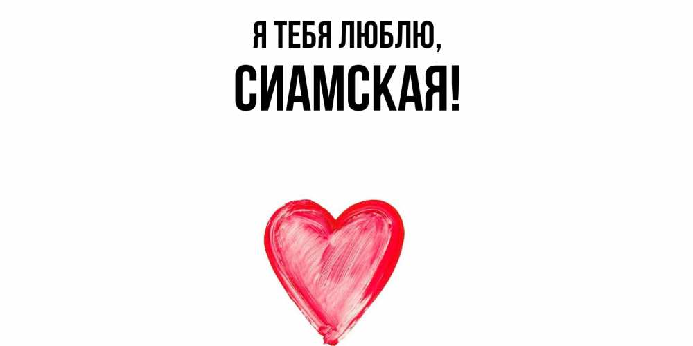 Открытка  для любимых и родных. сиамская, Я тебя люблю  