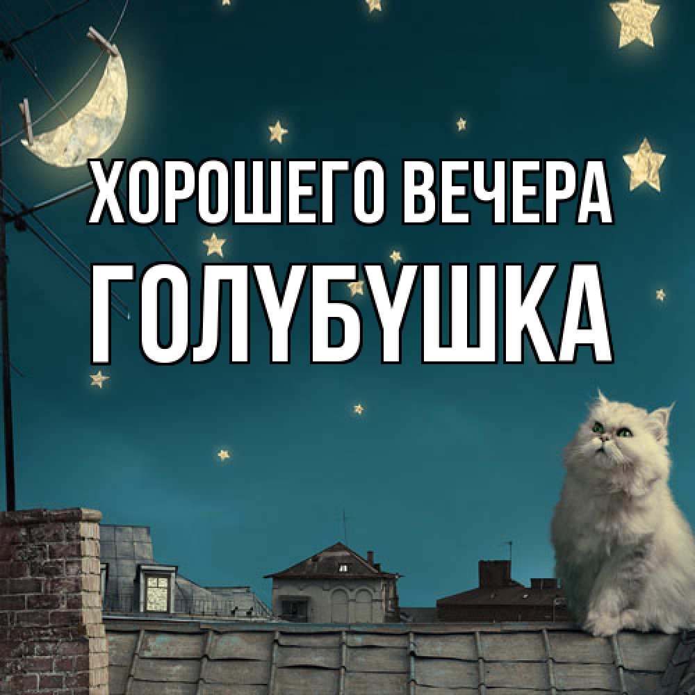 Картинка Хорошего вечера, голyбyшка