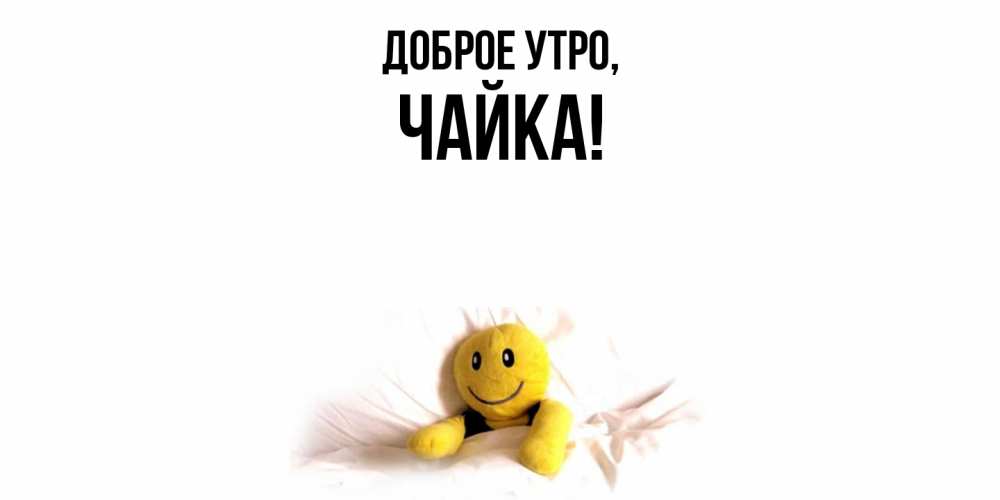 Открытка  для любимых и родных. чайка, Доброе утро  