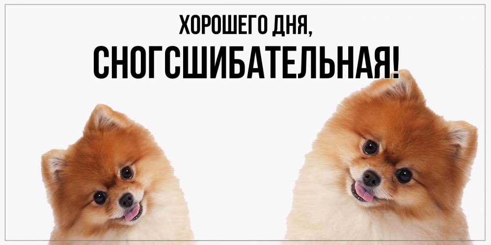 Открытка  для любимых и родных. сногсшибательная, Хорошего дня  