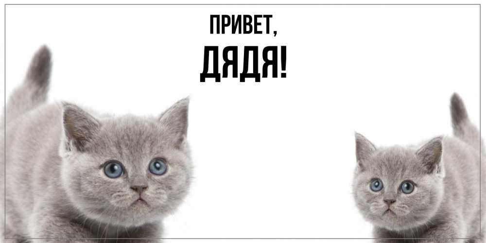 Картинка Привет, Дядя