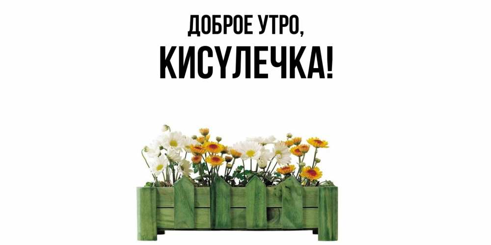 Картинка Доброе утро, кисyлечка