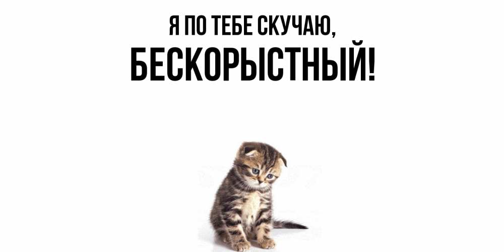 Открытка  для любимых и родных. бескорыстный, Я по тебе скучаю  