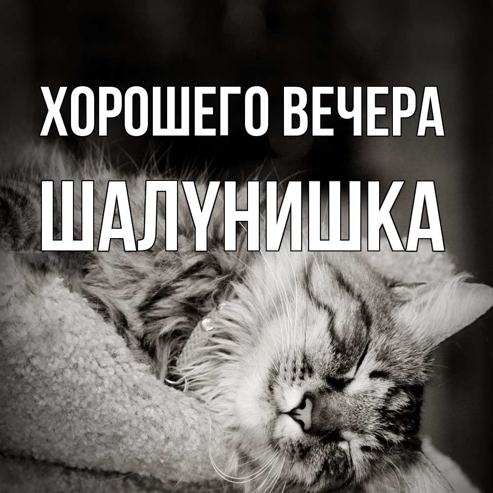 Картинка Хорошего вечера, шалyнишка