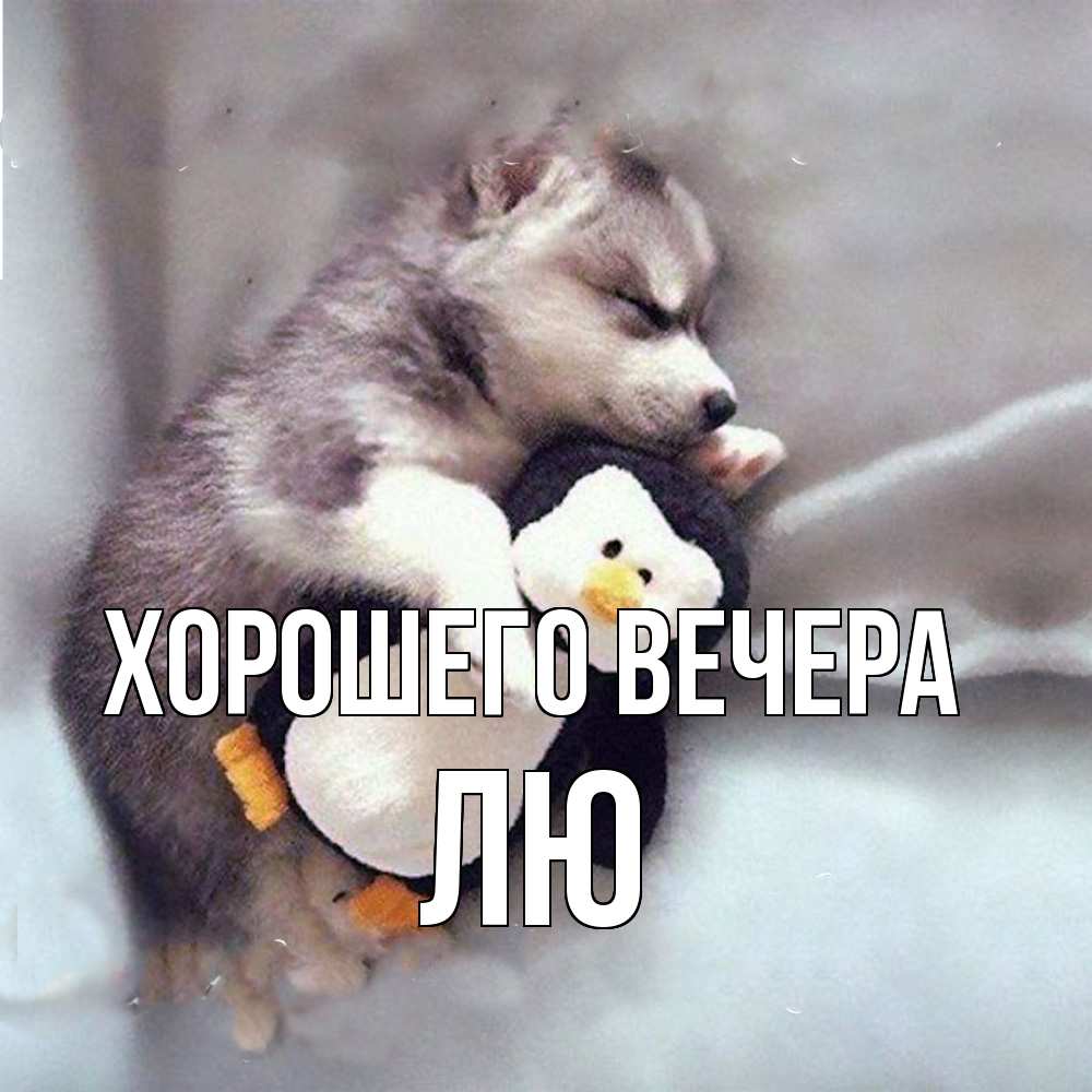 Картинка Хорошего вечера, лю