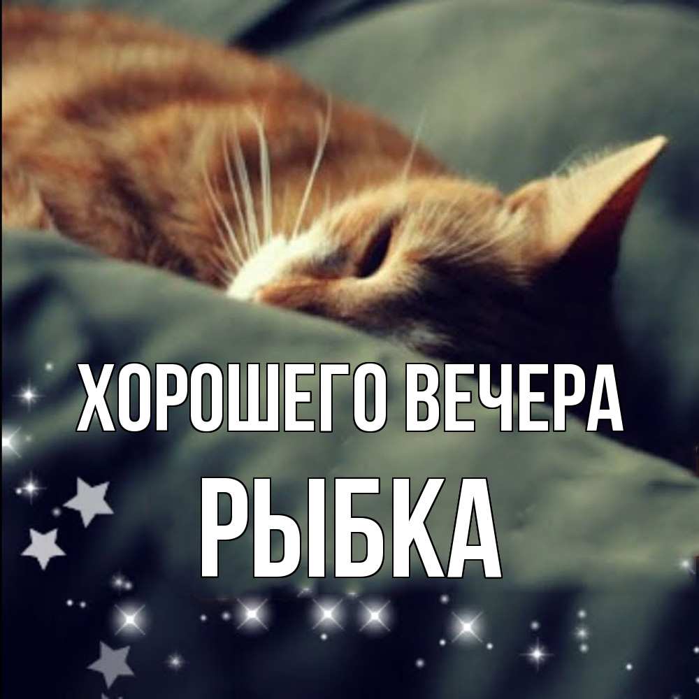 Открытка  для любимых и родных. рыбка, Хорошего вечера  