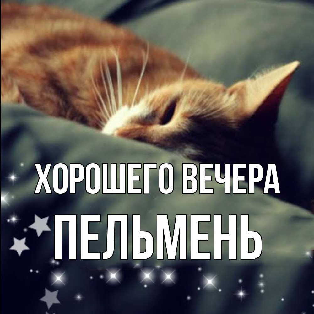 Картинка Хорошего вечера, пельмень