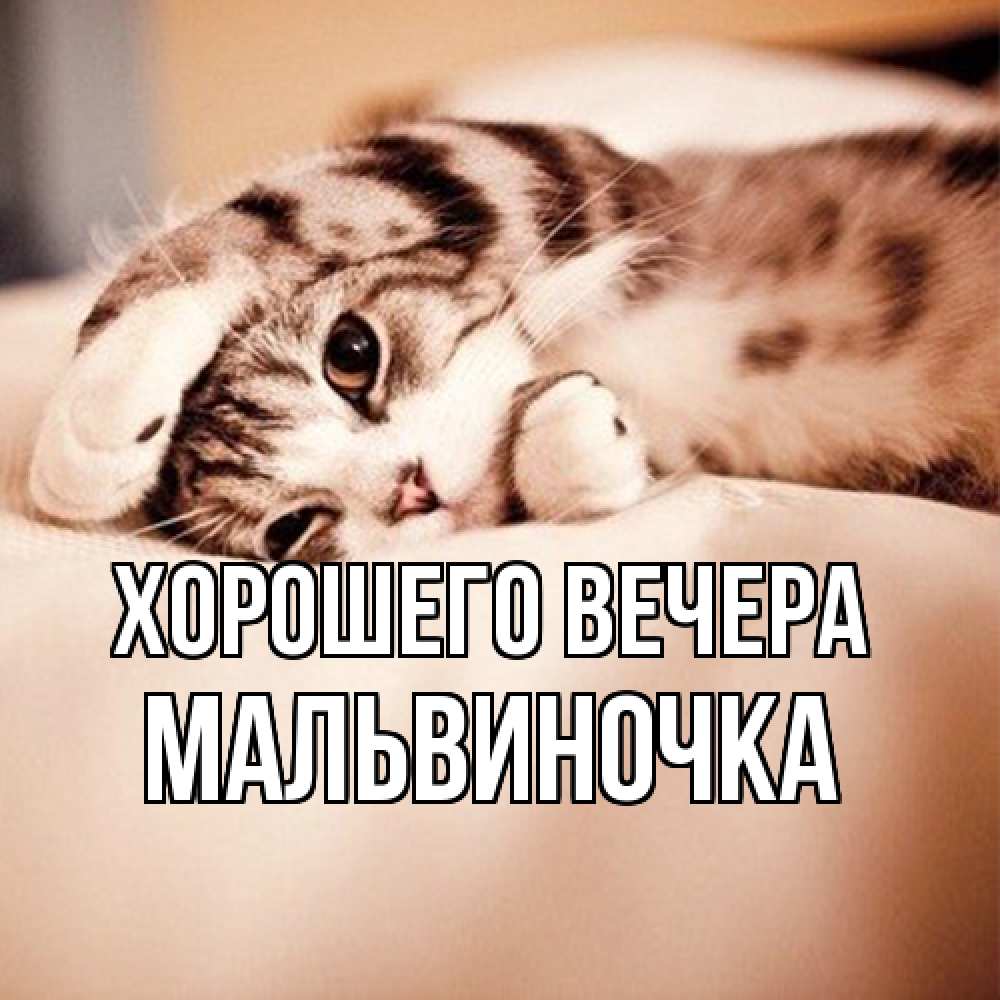 Открытка  для любимых и родных. мальвиночка, Хорошего вечера  