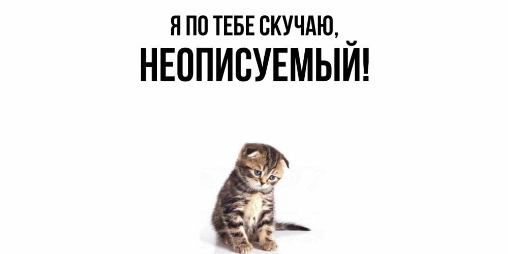 Картинка Я по тебе скучаю, неописуемый