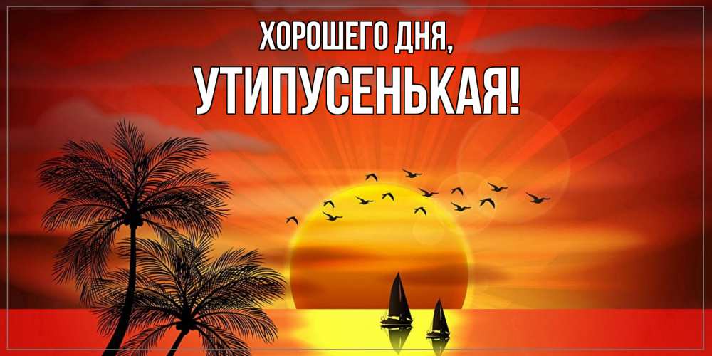Открытка  для любимых и родных. утипусенькая, Хорошего дня  