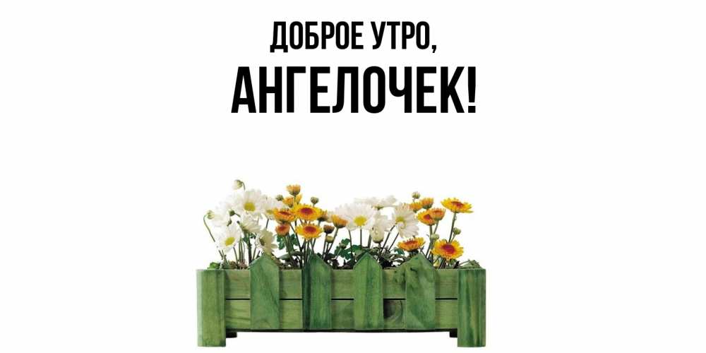 Открытка  для любимых и родных. ангелочек, Доброе утро  