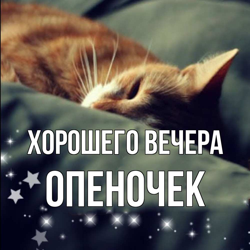 Картинка Хорошего вечера, опеночек