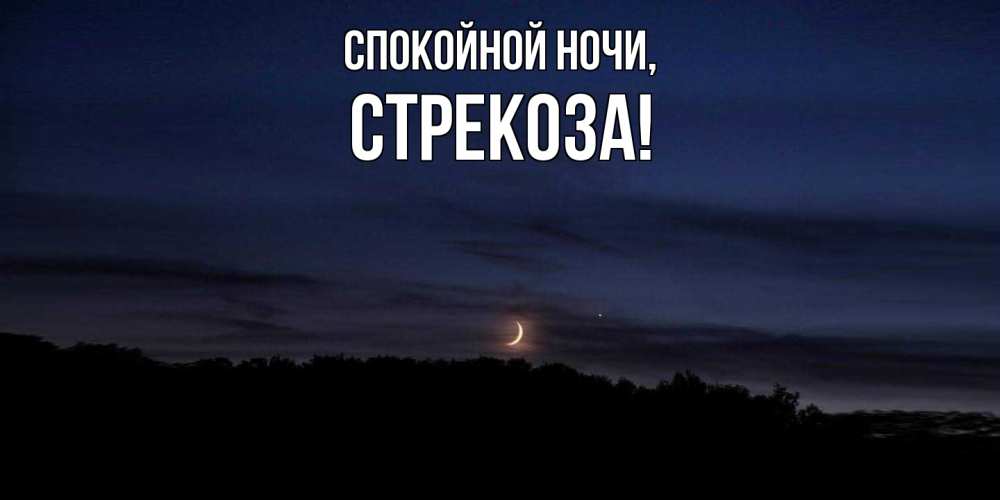 Картинка Спокойной ночи, стрекоза