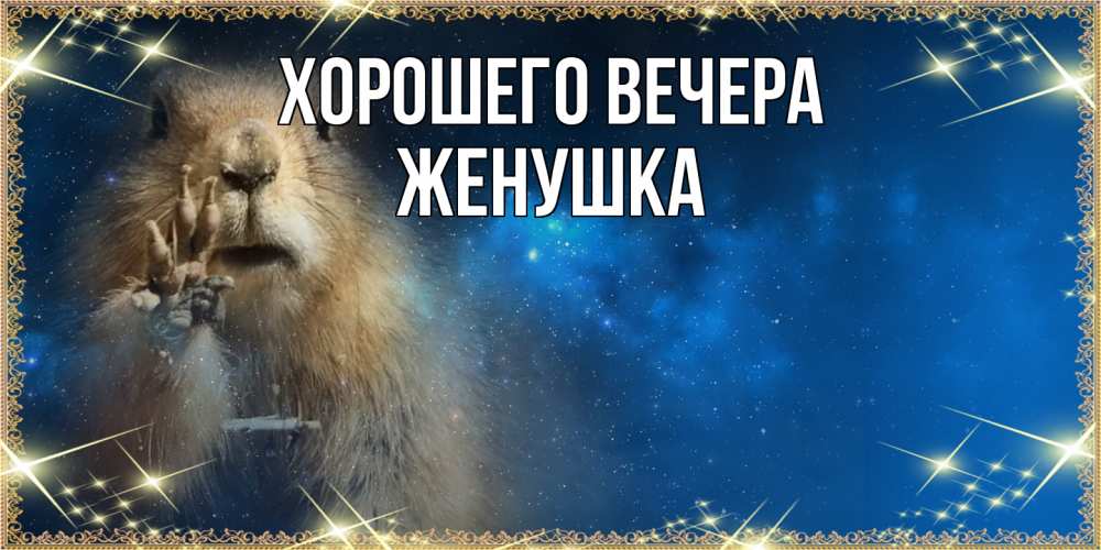 Открытка  для любимых и родных. Женушка, Хорошего вечера  