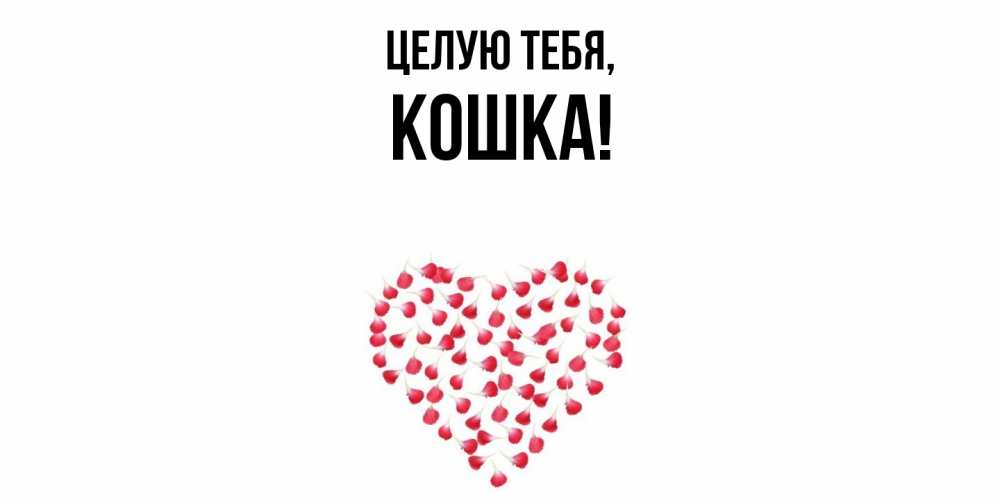 Картинка Целую тебя, кошка