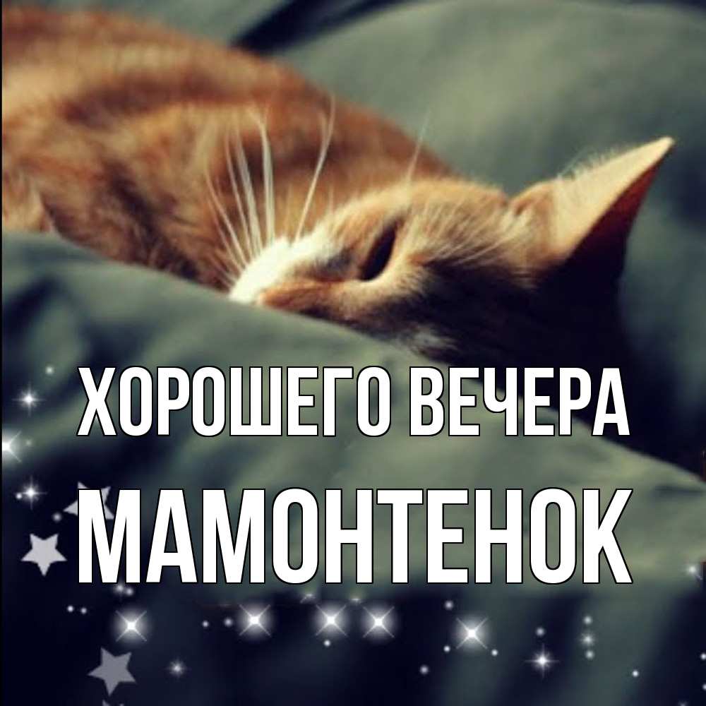 Открытка  для любимых и родных. мамонтенок, Хорошего вечера  
