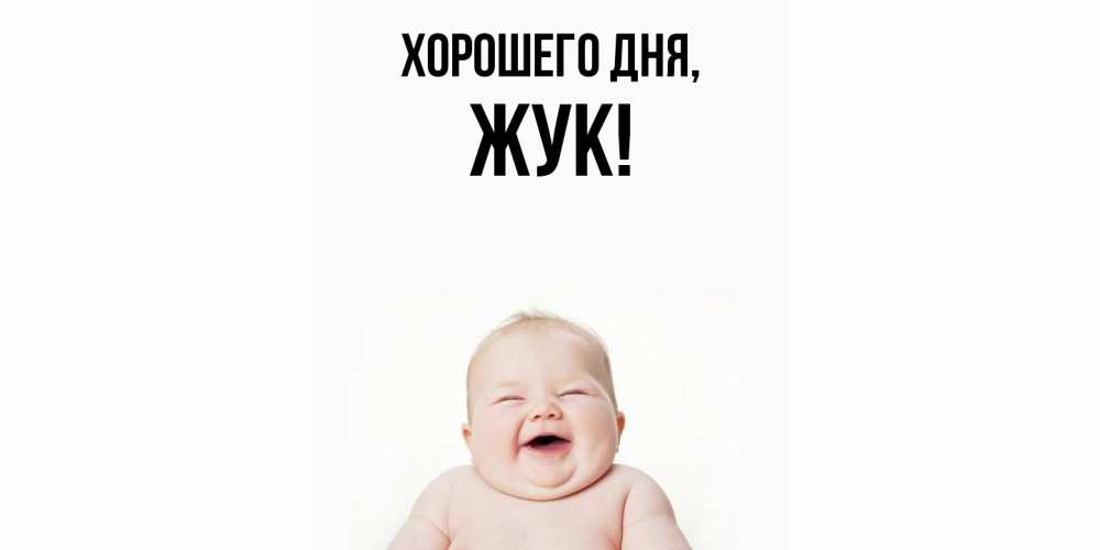 Открытка  для любимых и родных. жук, Хорошего дня  