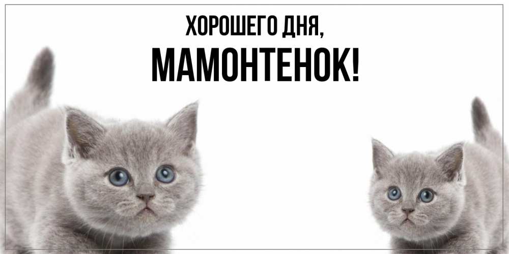 Открытка  для любимых и родных. мамонтенок, Хорошего дня  