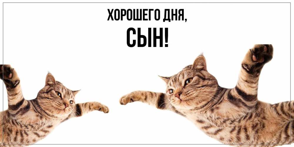 Открытка  для любимых и родных. Сын, Хорошего дня  