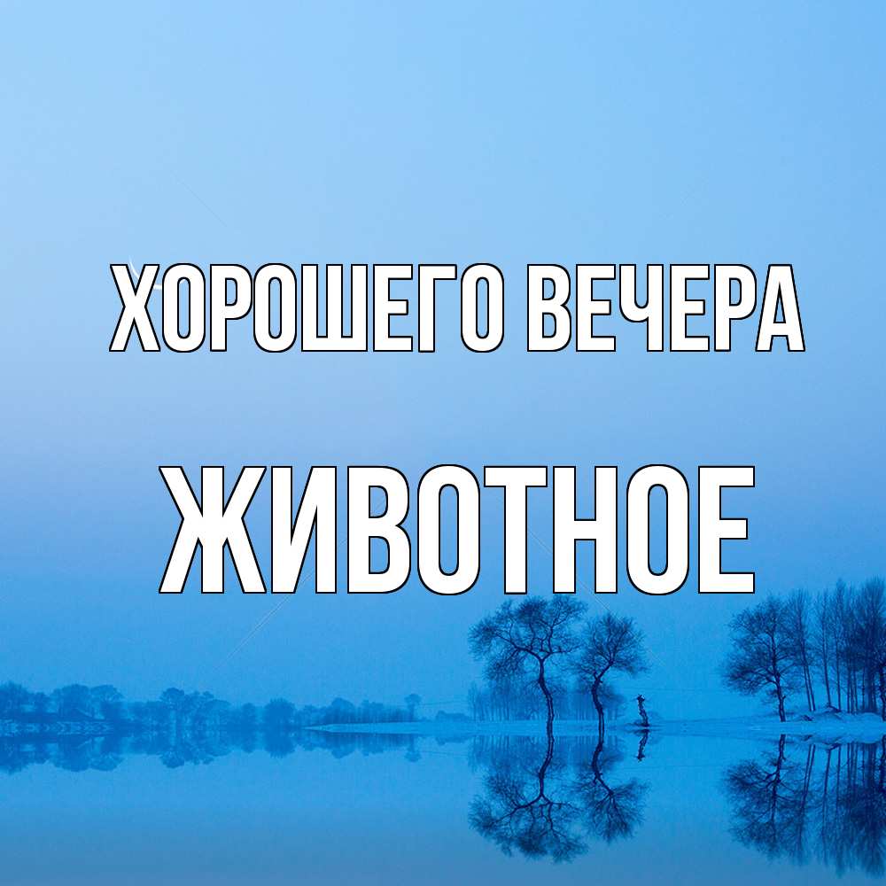 Открытка  для любимых и родных. животное, Хорошего вечера  