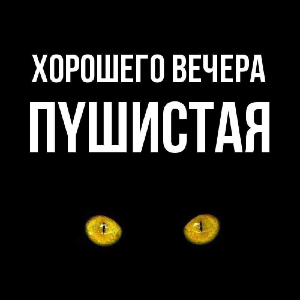Картинка Хорошего вечера, пyшистая