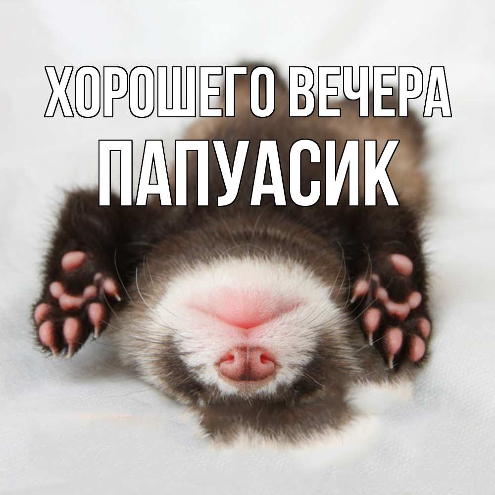 Открытка  для любимых и родных. папуасик, Хорошего вечера  