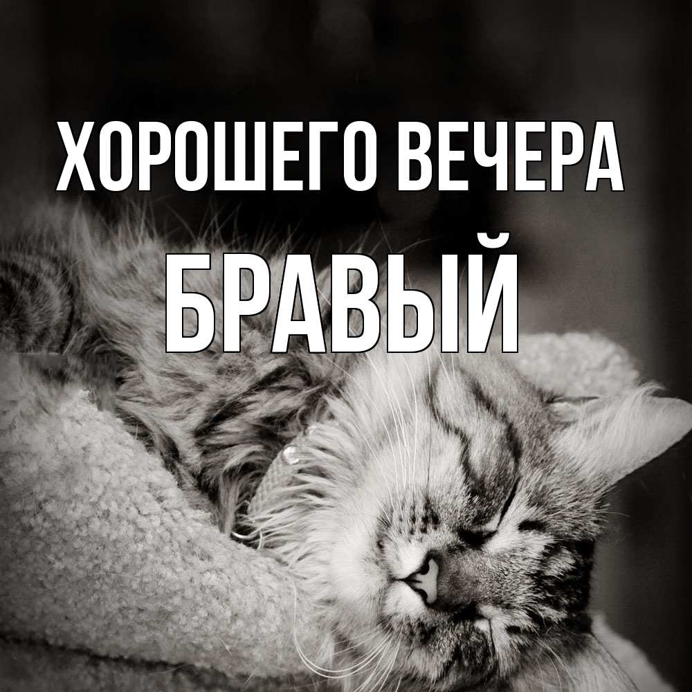 Картинка Хорошего вечера, бравый