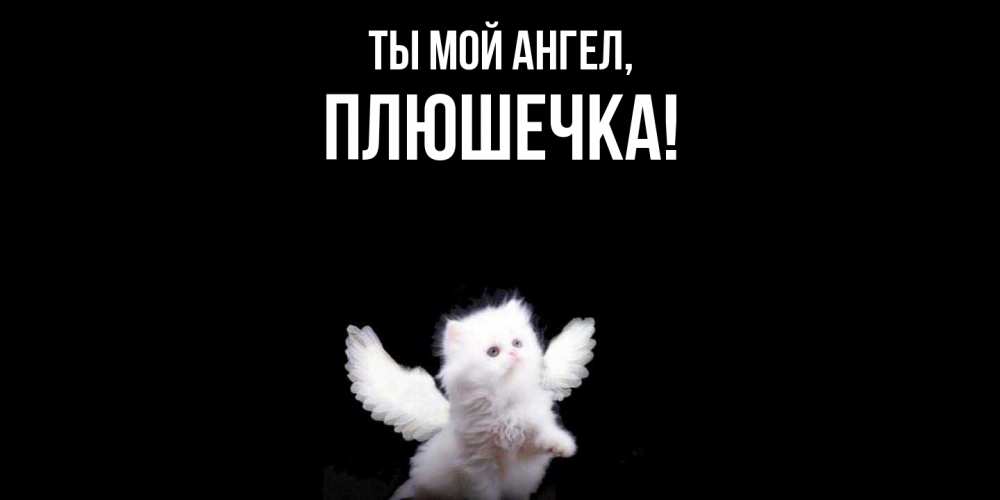 Открытка  для любимых и родных. плюшечка, Ты мой ангел  