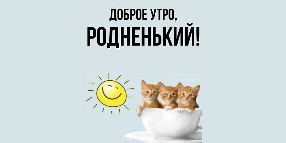 Картинка Доброе утро, родненький