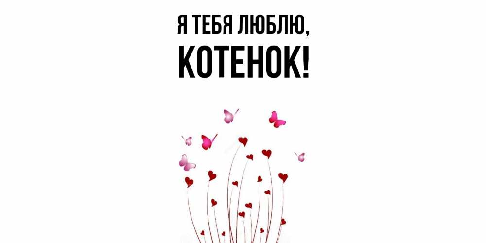 Картинка Я тебя люблю, Котенок