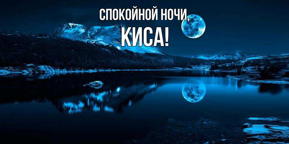 Открытка  для любимых и родных. киса, Спокойной ночи  