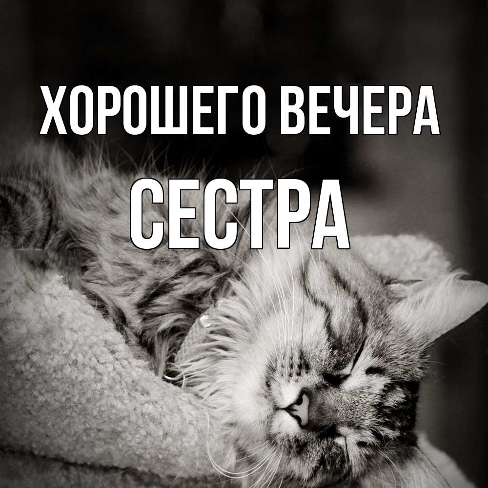 Картинка Хорошего вечера, Сестра