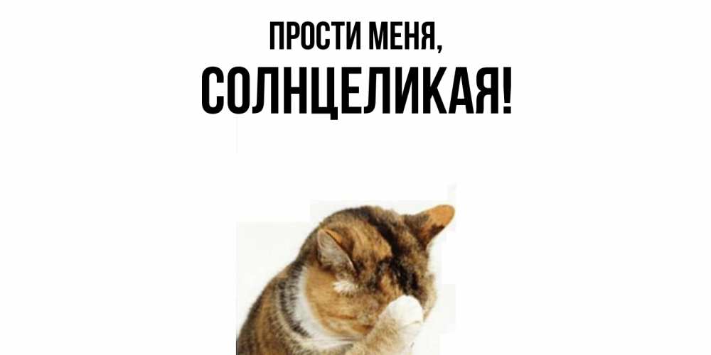 Открытка  для любимых и родных. солнцеликая, Прости меня  