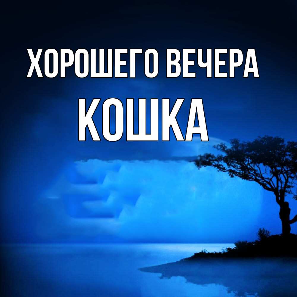 Картинка Хорошего вечера, кошка