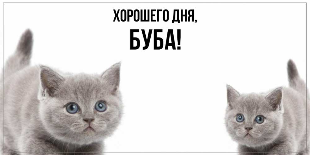 Открытка  для любимых и родных. буба, Хорошего дня  