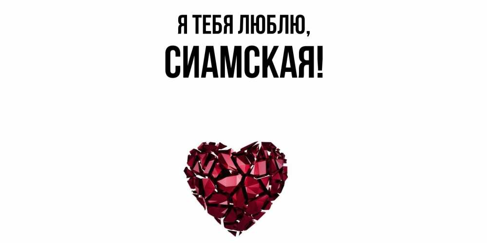 Открытка  для любимых и родных. сиамская, Я тебя люблю  
