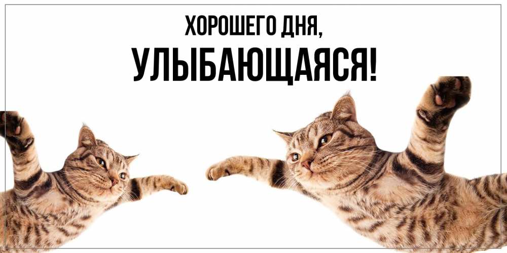 Открытка  для любимых и родных. улыбающаяся, Хорошего дня  