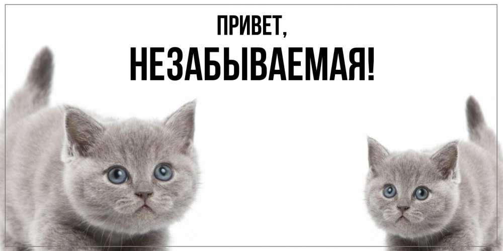 Открытка  для любимых и родных. незабываемая, Привет  