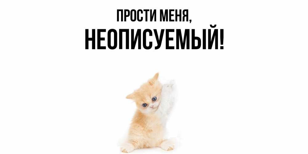 Картинка Прости меня, неописуемый