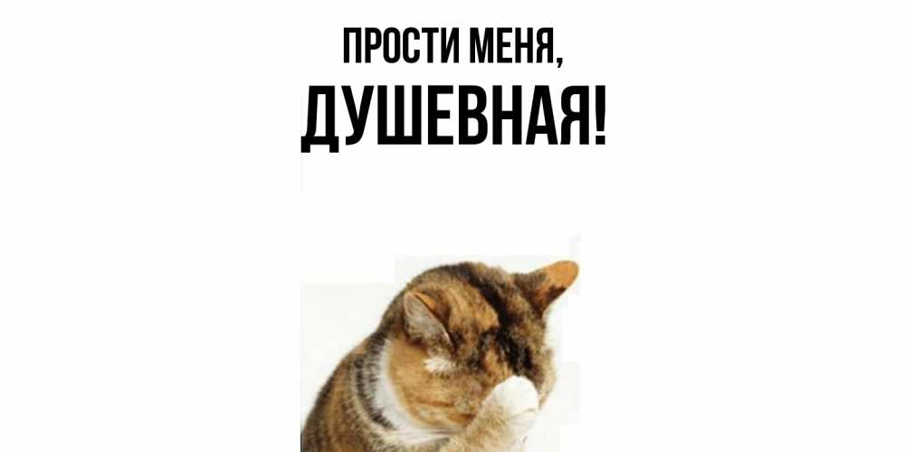 Картинка Прости меня, душевная