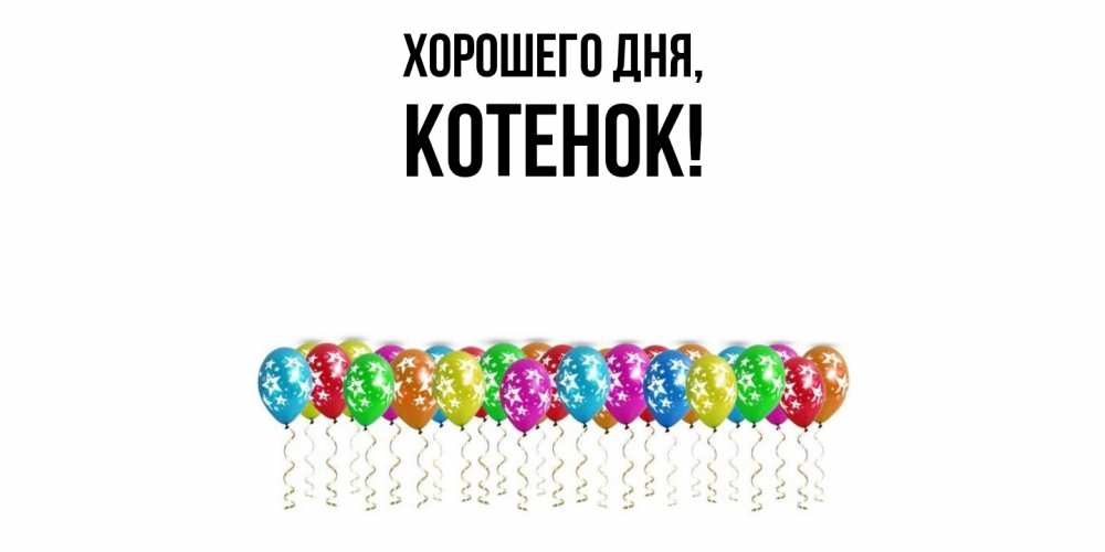 Картинка Хорошего дня, Котенок