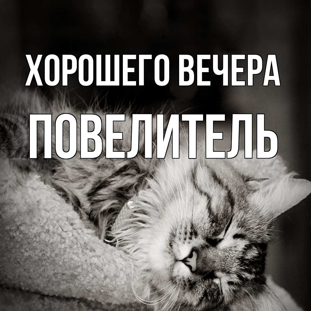Картинка Хорошего вечера, Повелитель