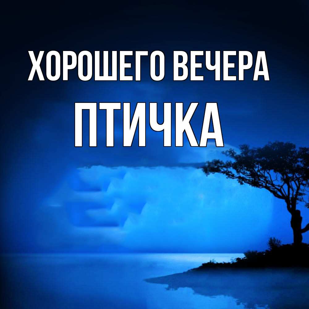 Картинка Хорошего вечера, птичка