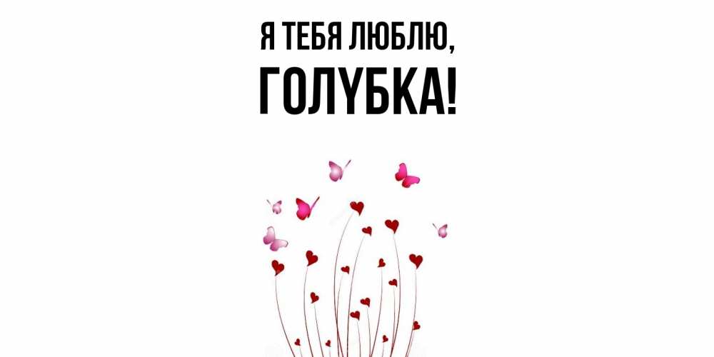 Открытка  для любимых и родных. голyбка, Я тебя люблю  