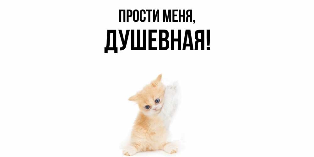 Открытка  для любимых и родных. душевная, Прости меня  